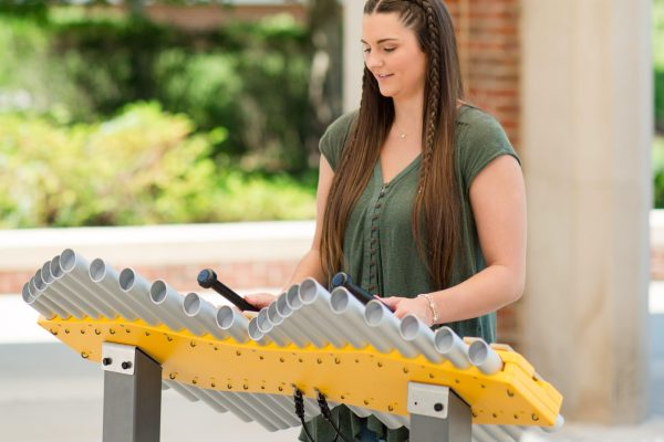 FreeNotes Renaissance Ensemble Musical Instrument SKU BDIP