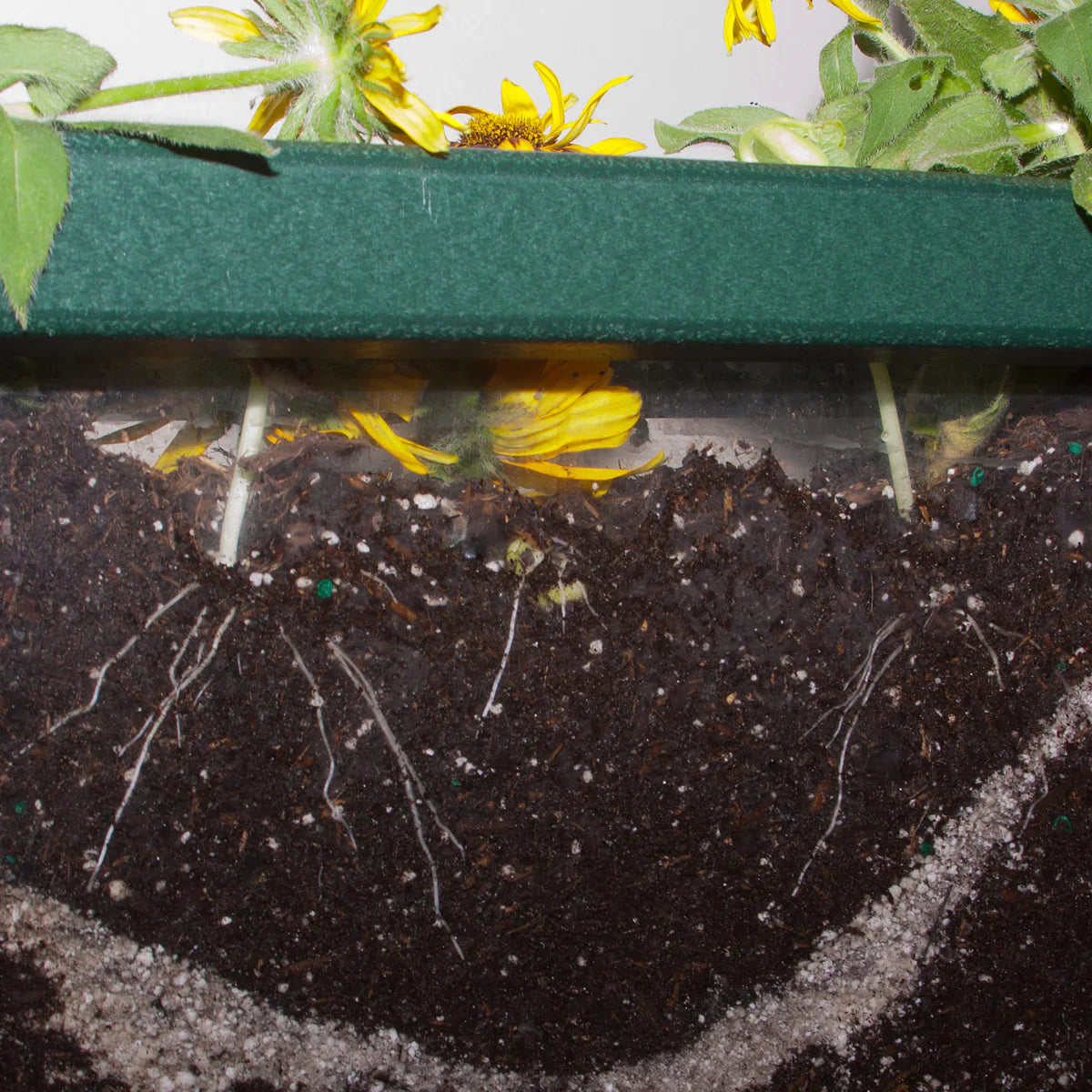 PlayMore Eco Root View Planter SKU 70010