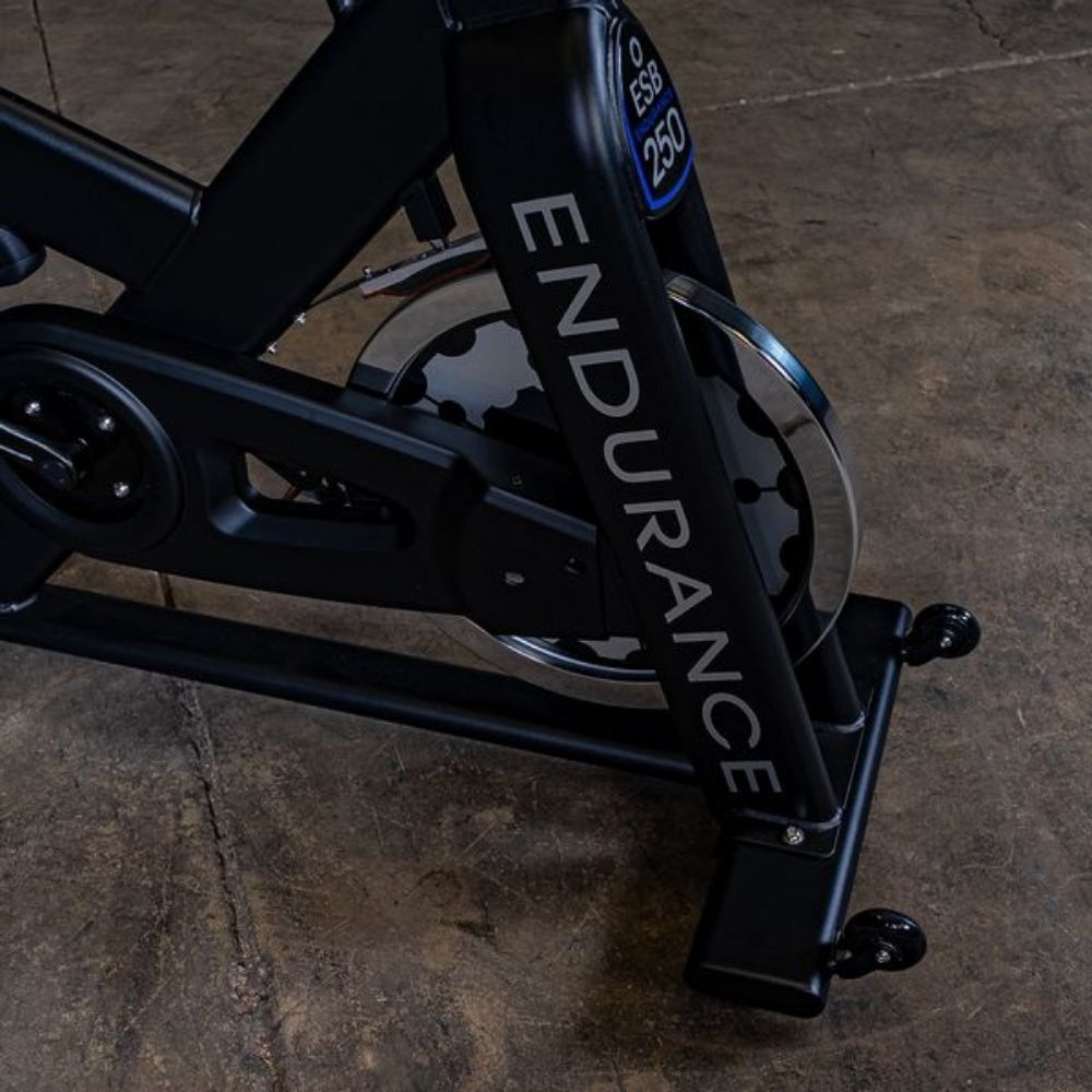 Body Solid Endurance Spin Bike SKU ESB250