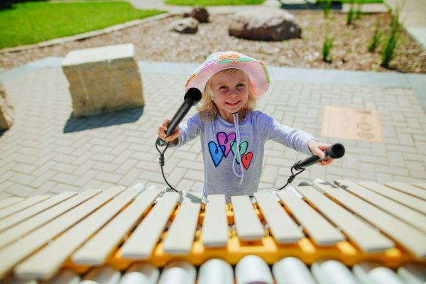 FreeNotes Premium Ensemble Musical Instrument SKU CCSI