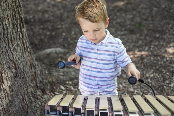 FreeNotes Weenotes Ensemble Musical Instrument SKU WEMPG