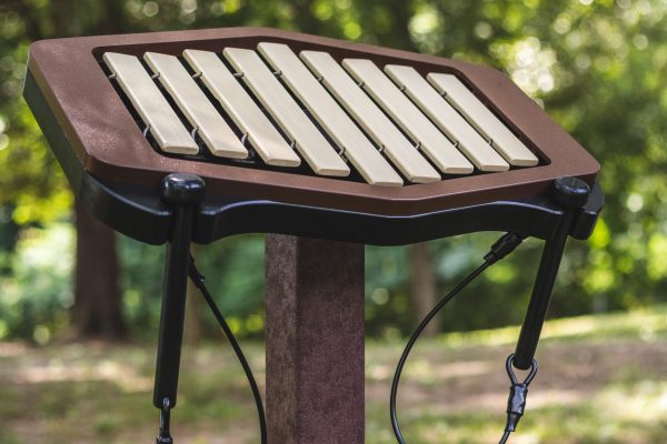 FreeNotes Early Childhood Ensemble Musical Instrument SKU RTDM