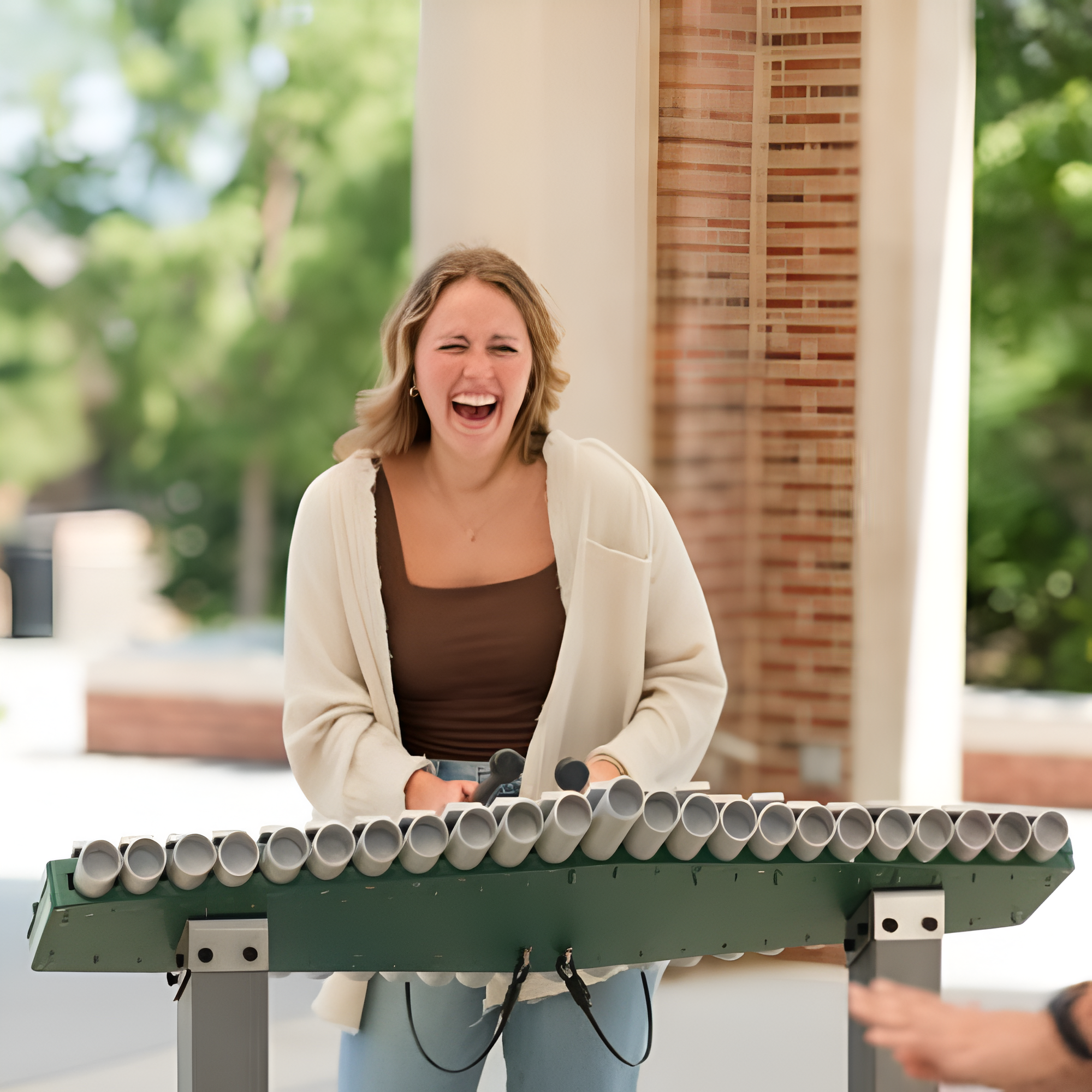 FreeNotes Renaissance Ensemble Musical Instrument SKU BDIP