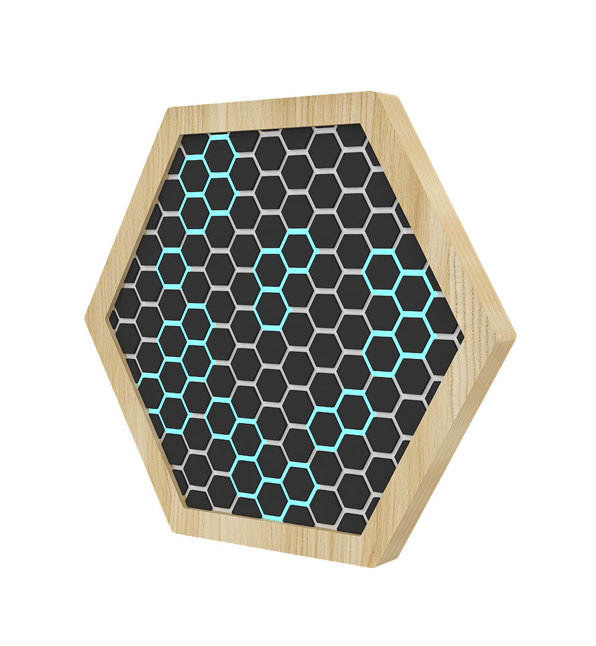 LiteZilla Multi Sensory Hexagon Panels SKU LZ-HEX