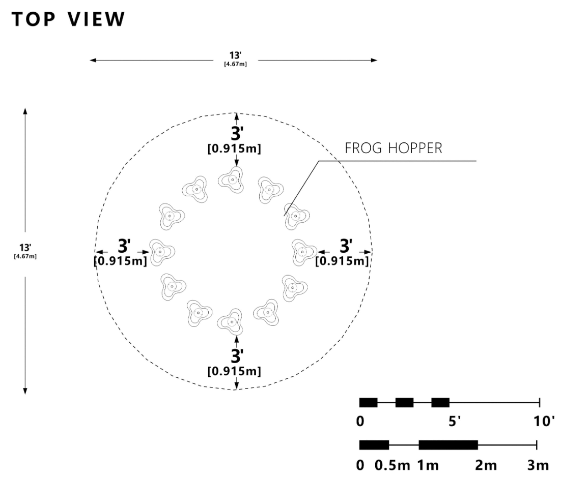 Wisdom Frog Hopper SKU QSFS-CL0019N