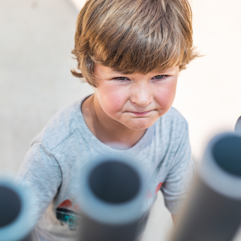 FreeNotes Griffin 11 Note Musical Element SKU GRIF