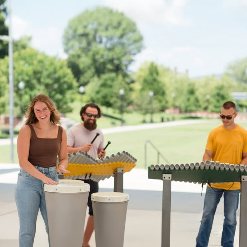 FreeNotes Renaissance Ensemble Musical Instrument SKU BDIP