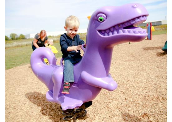 Playground Equipment Charlie Chomper Fun Bounce SKU PFB008
