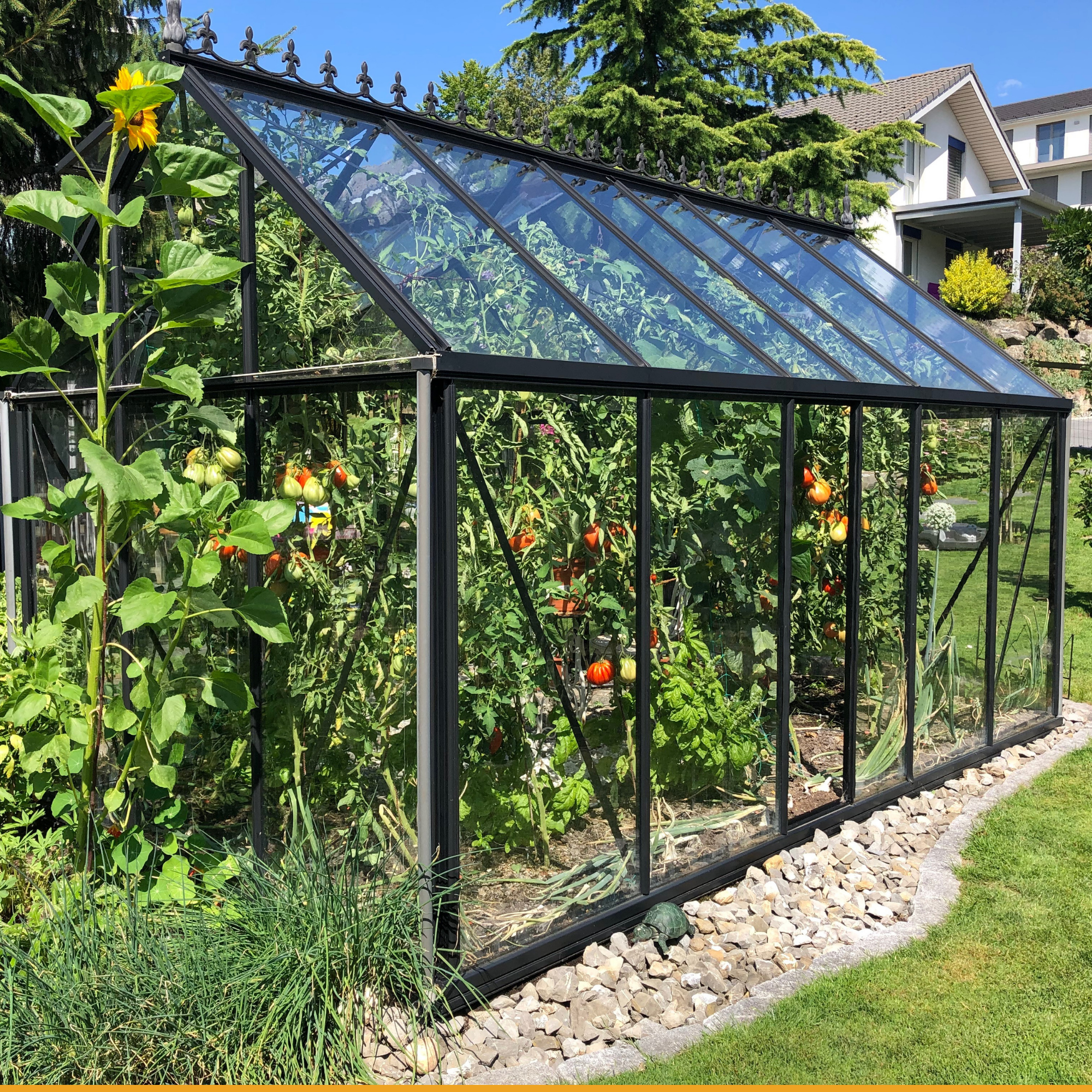 Green Houses