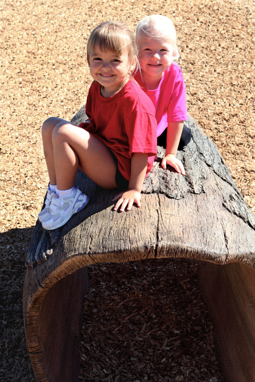 UltraPlay Nature Themed Playground Log Crawl Tunnel SKU 6LT