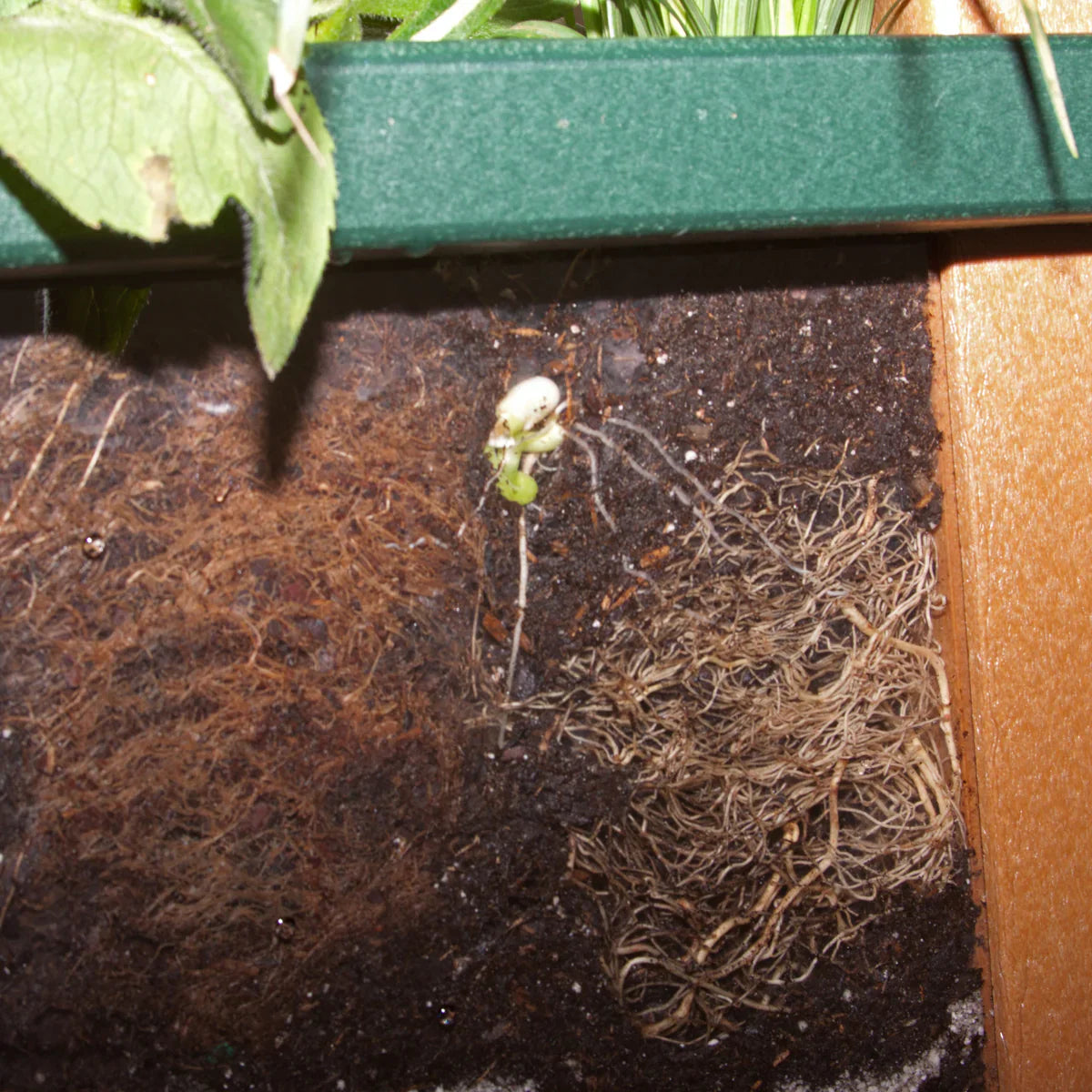 PlayMore Eco Root View Planter SKU 70010