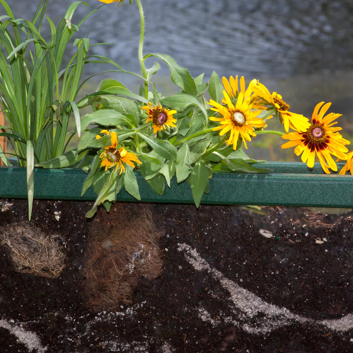 PlayMore Eco Root View Planter SKU 70010