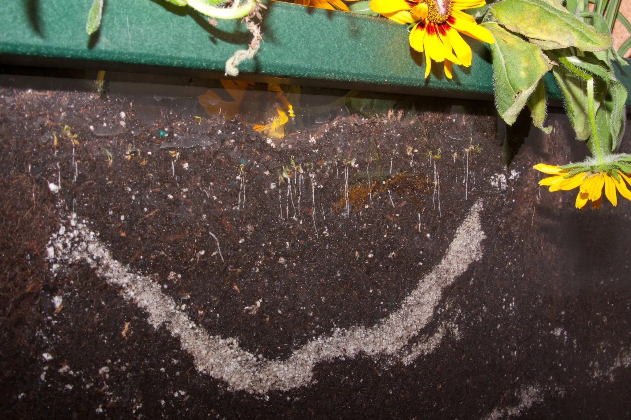 PlayMore Eco Root View Planter SKU 70010