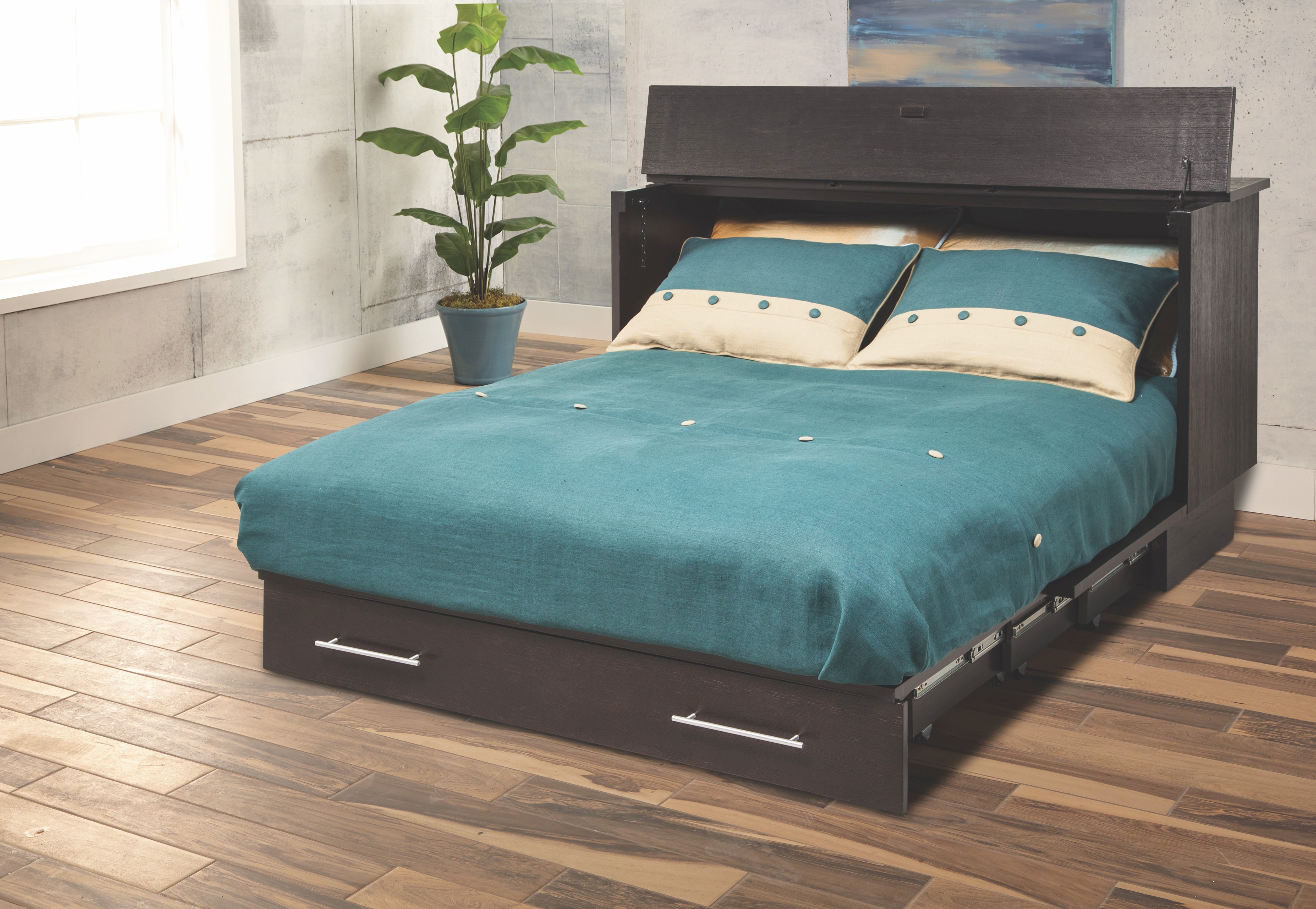 Arason Creden-ZzZ Pekoe Traditional Queen Murphy Cabinet Bed SKU 503-15