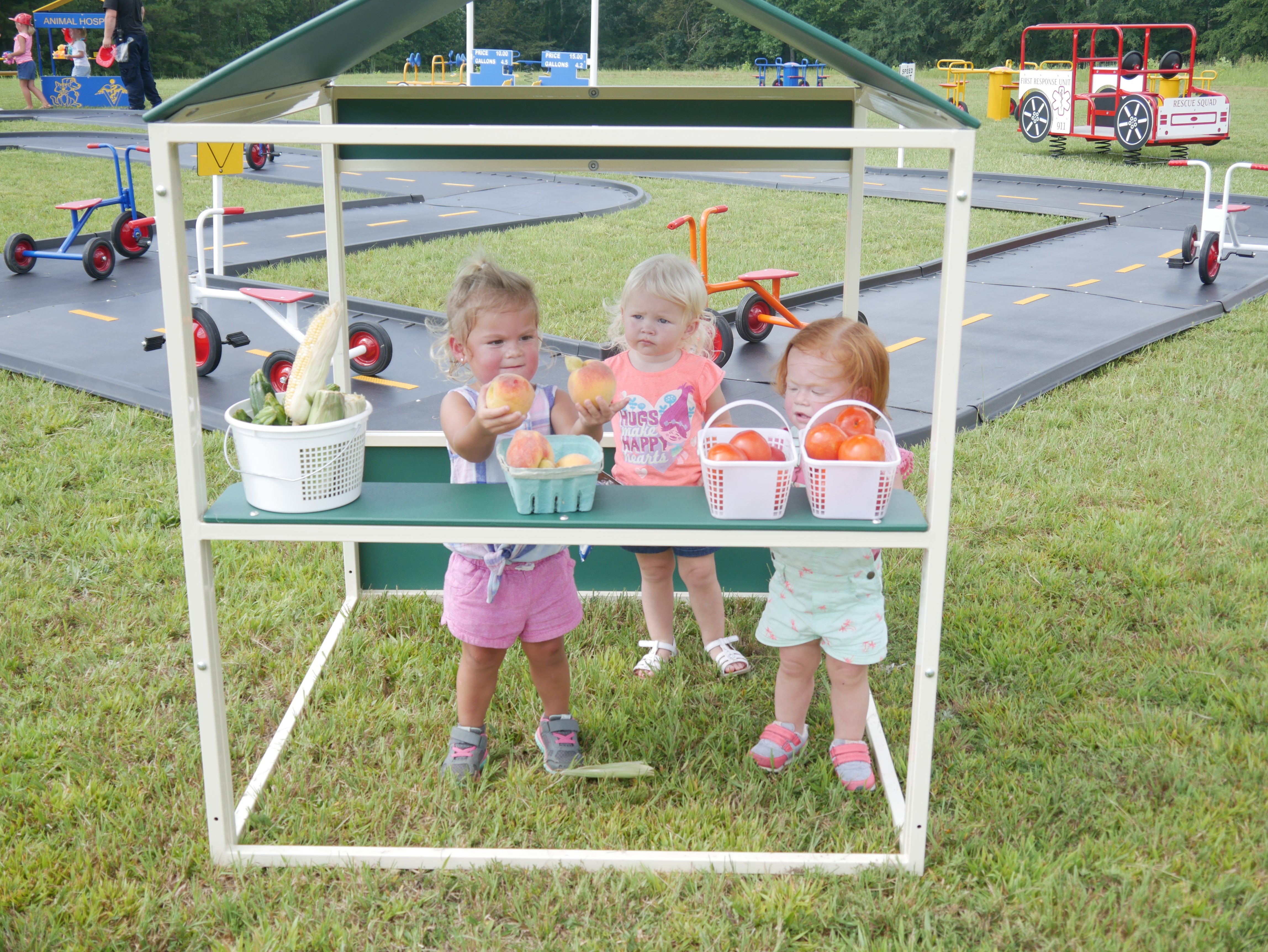 Infinity Playgrounds Farmers Market Playhouse SKU IP-7014
