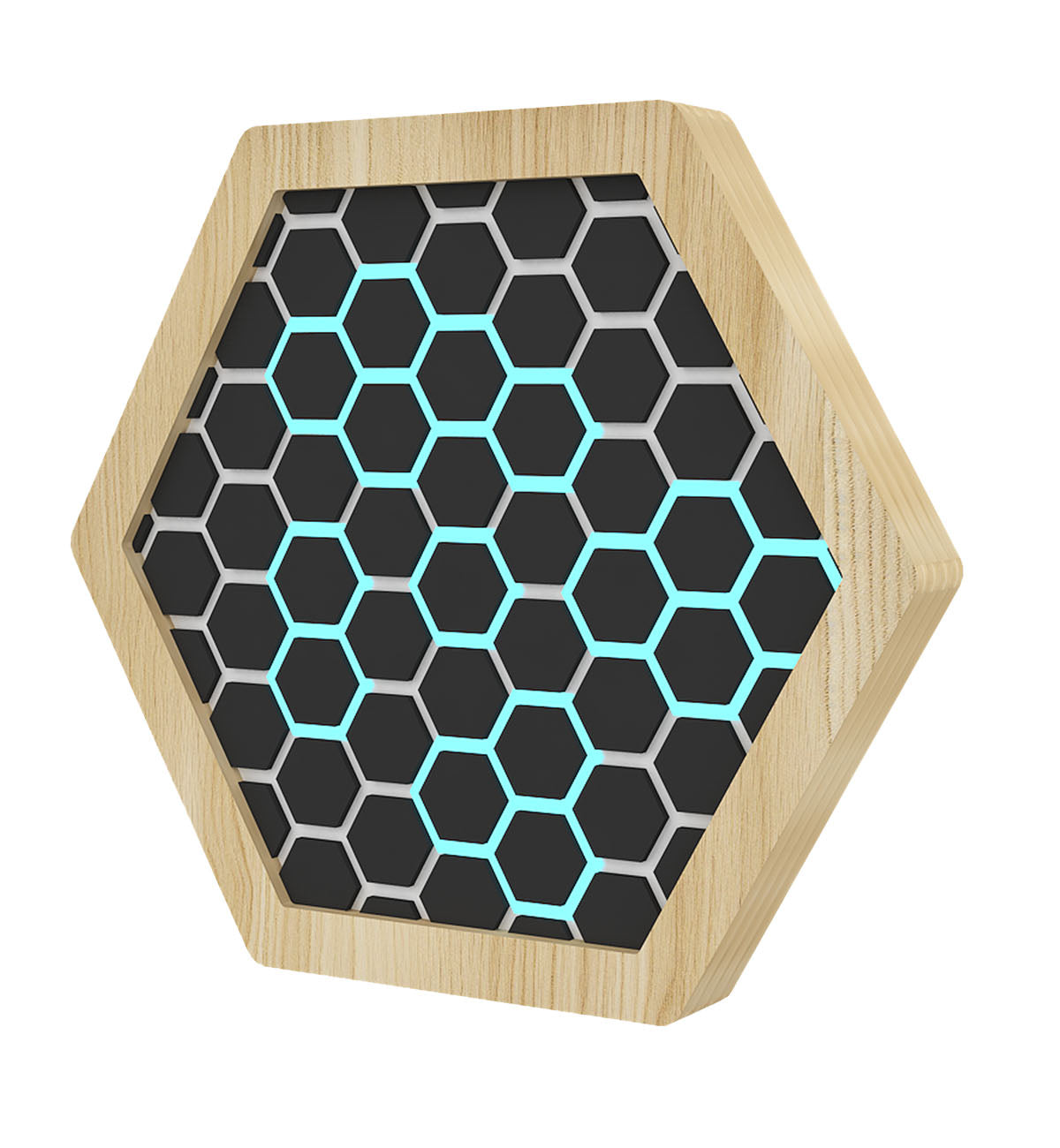 LiteZilla Multi Sensory Hexagon Panels SKU LZ-HEX